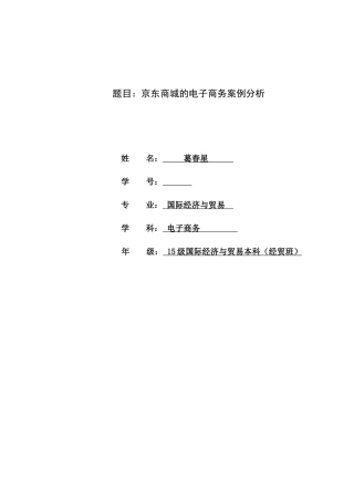 2025年完成京东电子商务案例分析