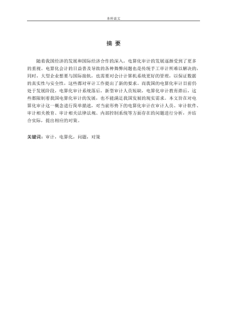 电算化审计存在的问题及对策论文