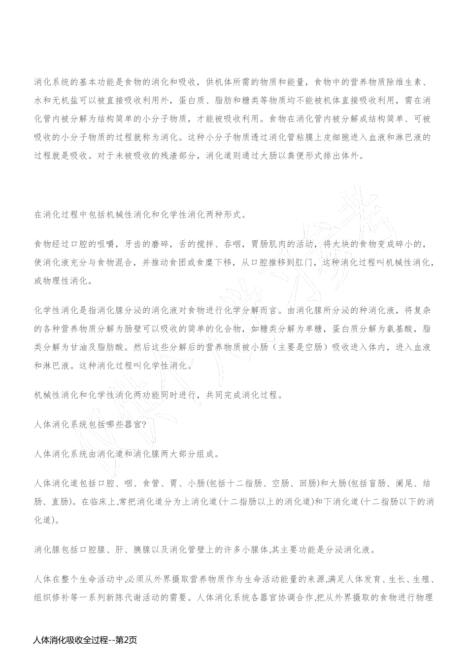 人体消化吸收全过程_第2页