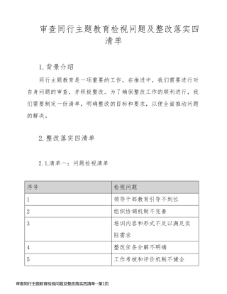 审查同行主题教育检视问题及整改落实四清单