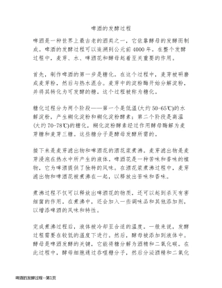 啤酒的发酵过程