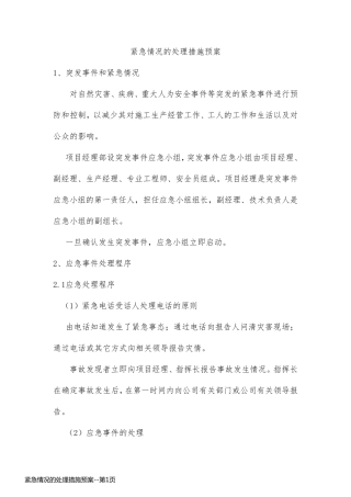 紧急情况的处理措施预案