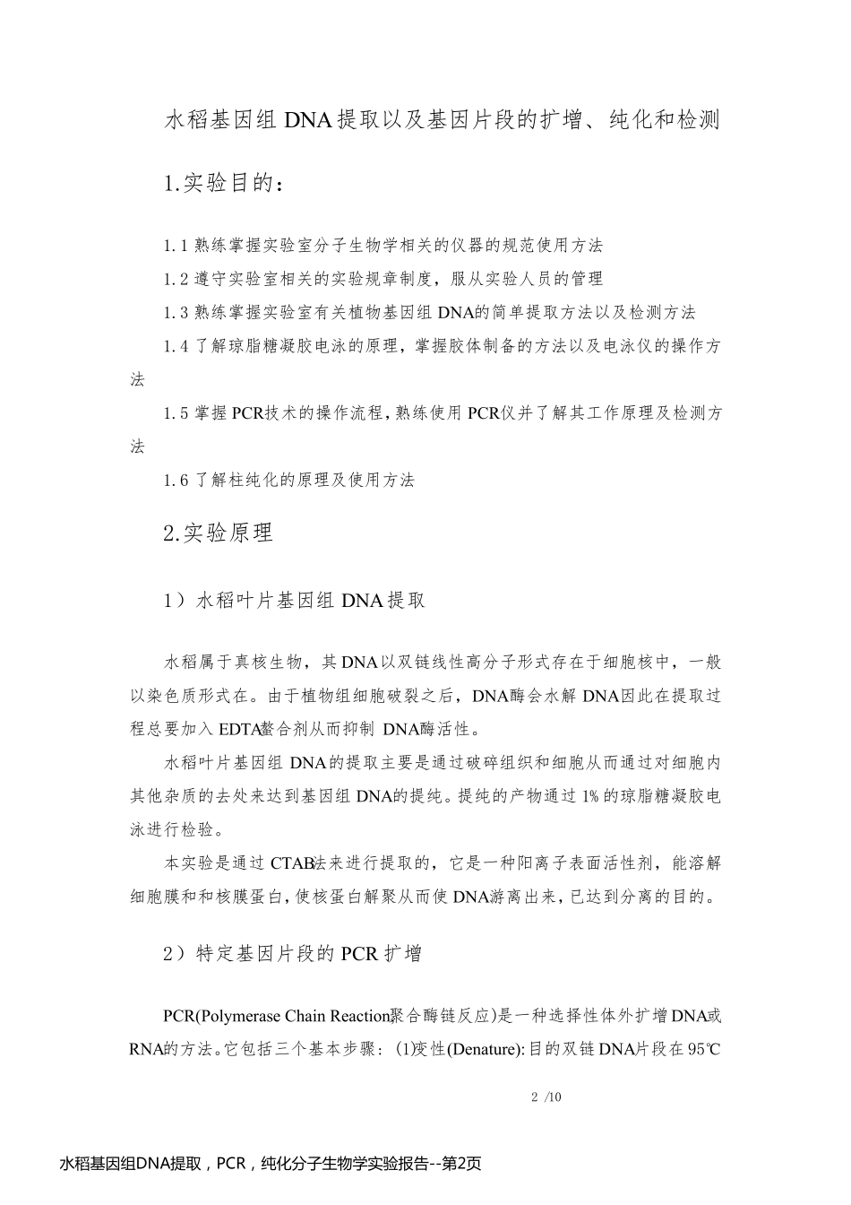 水稻基因组DNA提取，PCR，纯化分子生物学实验报告_第2页