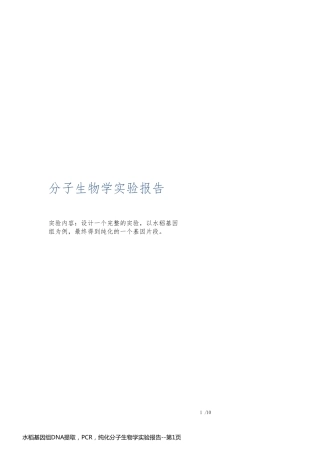 水稻基因组DNA提取，PCR，纯化分子生物学实验报告