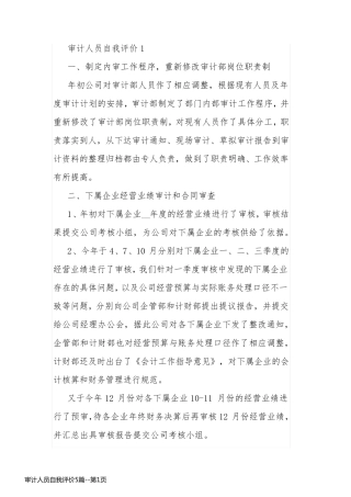 审计人员自我评价5篇