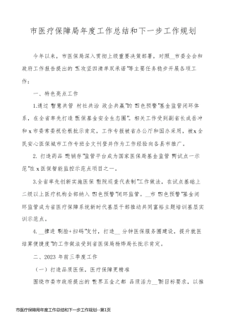 市医疗保障局年度工作总结和下一步工作规划