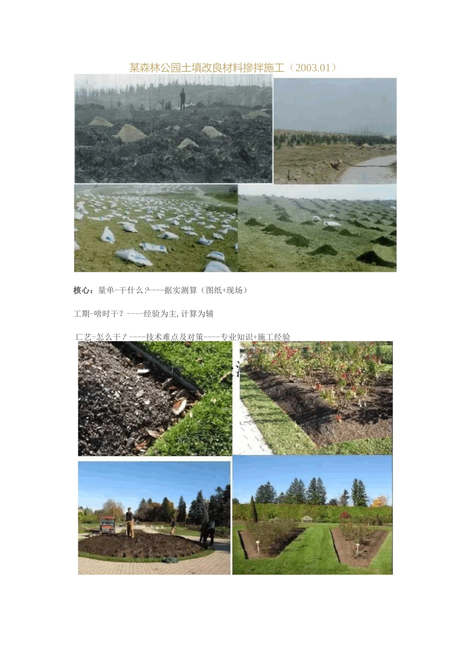 园林绿化及园林绿化施工全解_第2页