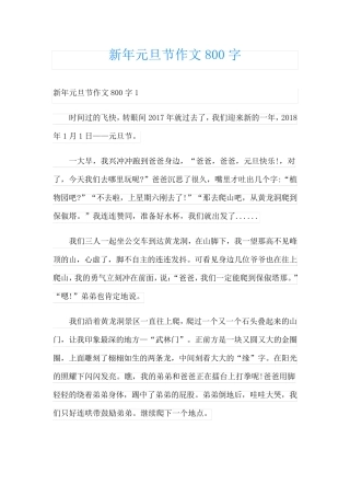 新年元旦节作文800字