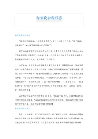 春节晚会观后感.doc