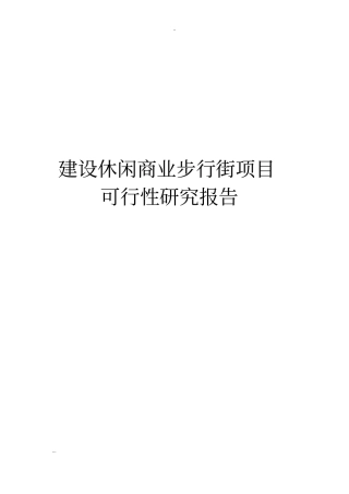 建设休闲商业步行街项目可行性研究报告
