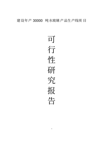 建设年产30000吨水玻璃产品生产线项目可行性研究报告
