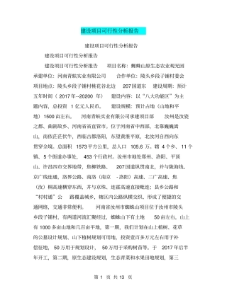 建设项目可行性分析报告【可编辑版】