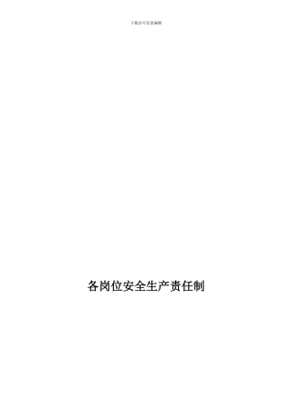 8.新龙-安全生产责任制