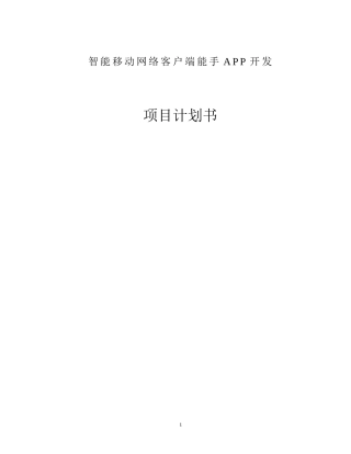 APP项目开发商业计划书