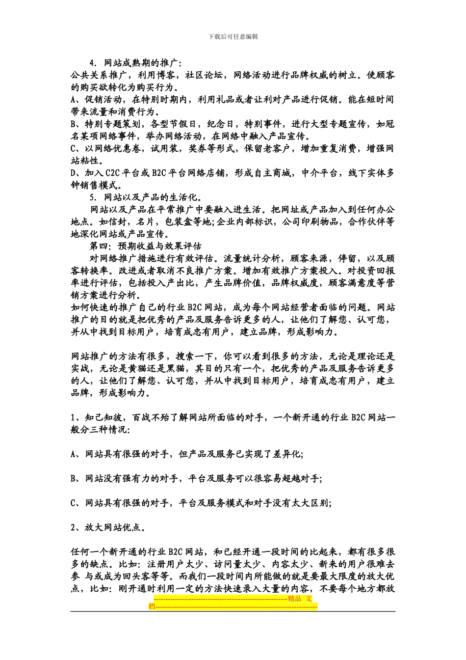 B2C网站推广方案_第2页