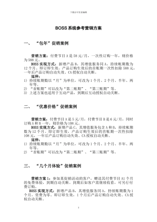 BOSS参考营销方案