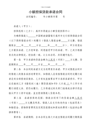 e2024最新6小额贷款担保合同