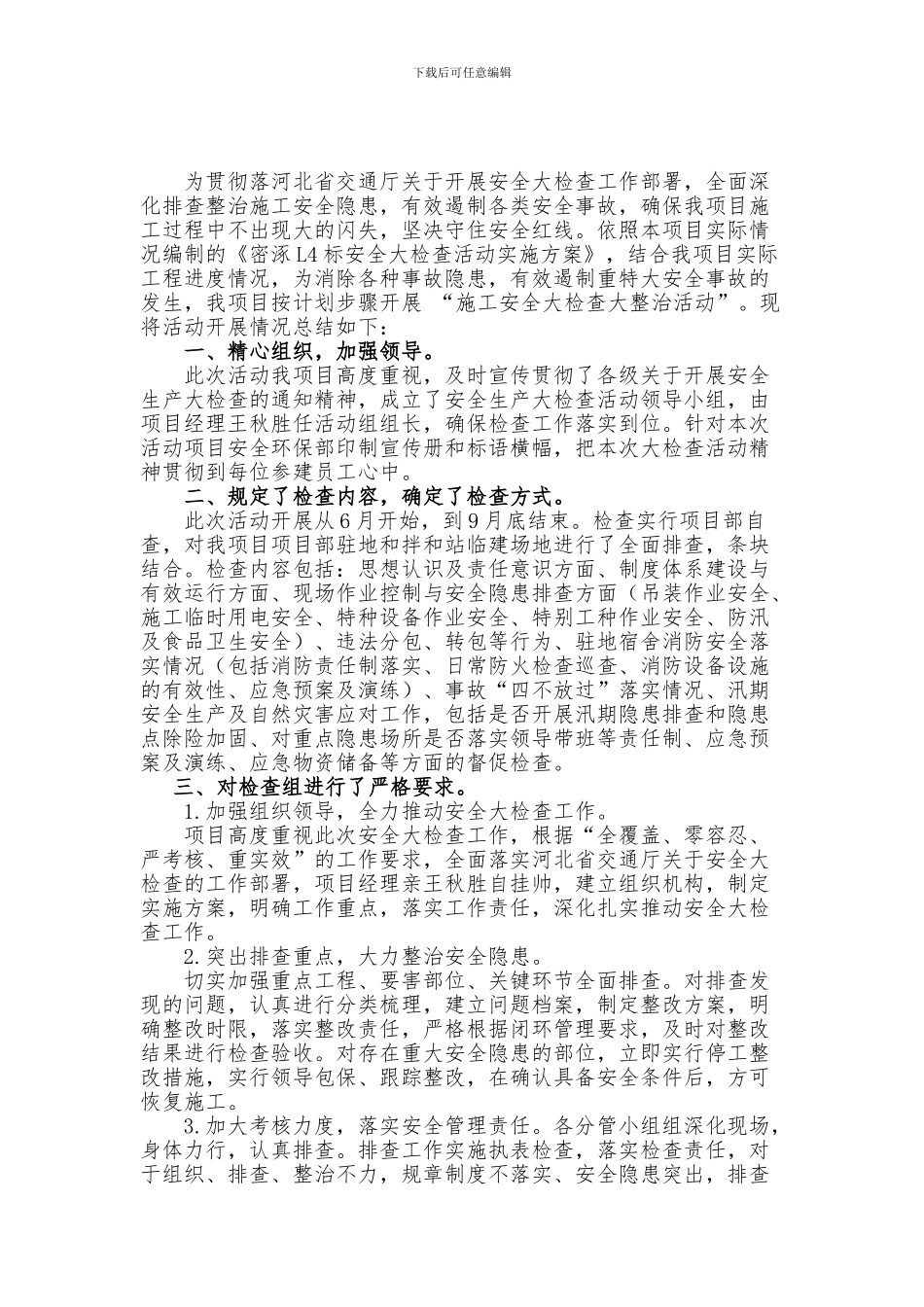 L4标-2024年安全生产大检查活动工作总结_第2页