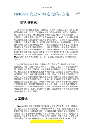 NatShell-商业VPN连锁解决方案