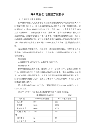 PPP项目公司组建方案县乡