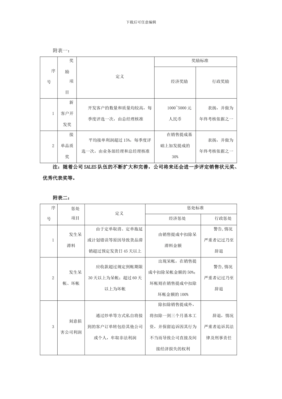 SALES薪酬激励制度_第2页