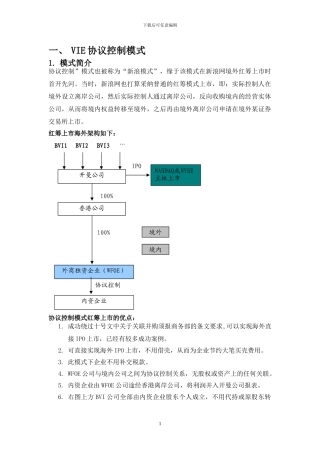 VIE经典案例剖析