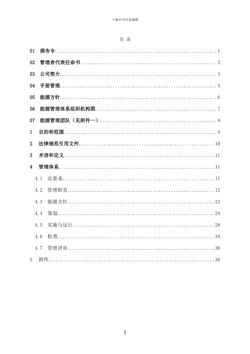 XX公司能源管理手册_第1页