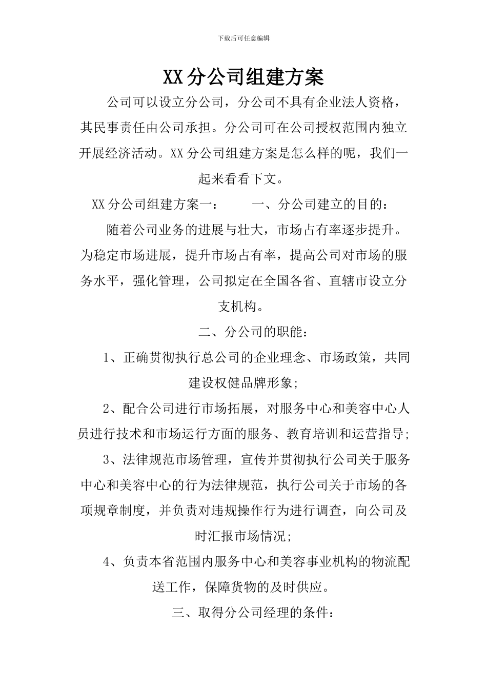 XX分公司组建方案_第1页