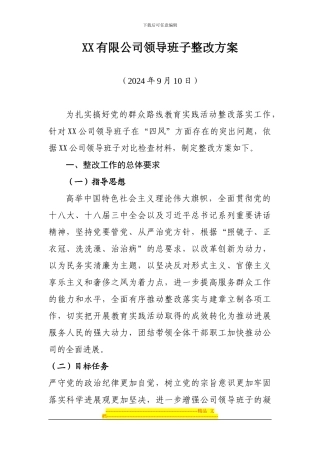 XX有限公司领导班子整改方案