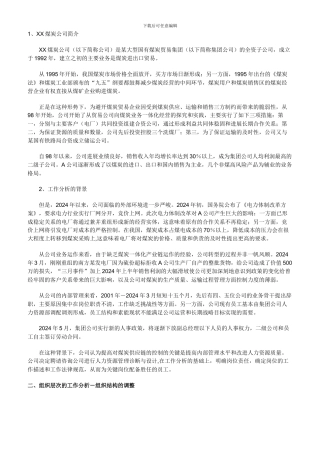 XX煤炭公司简介