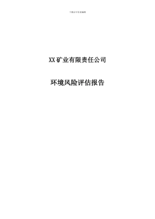 XX矿业有限责任公司突发环境事件风险评估报告