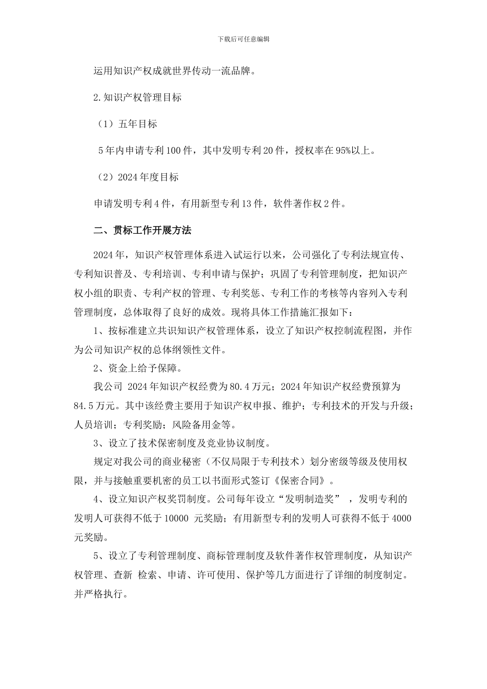 XX股份有限公司-知识产权工作总结报告_第2页