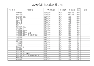 2007新会计准则制度