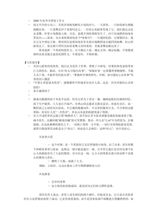 2008年高考全国卷2作文小龟老鹰游客