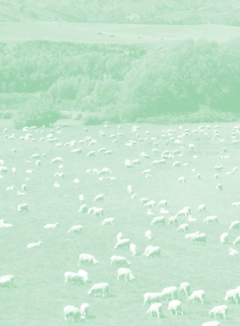 2009中国对澳大利亚出口农产品市场指南_第2页