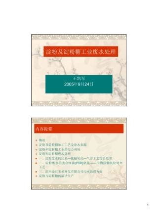 淀粉及淀粉糖工业废水处理