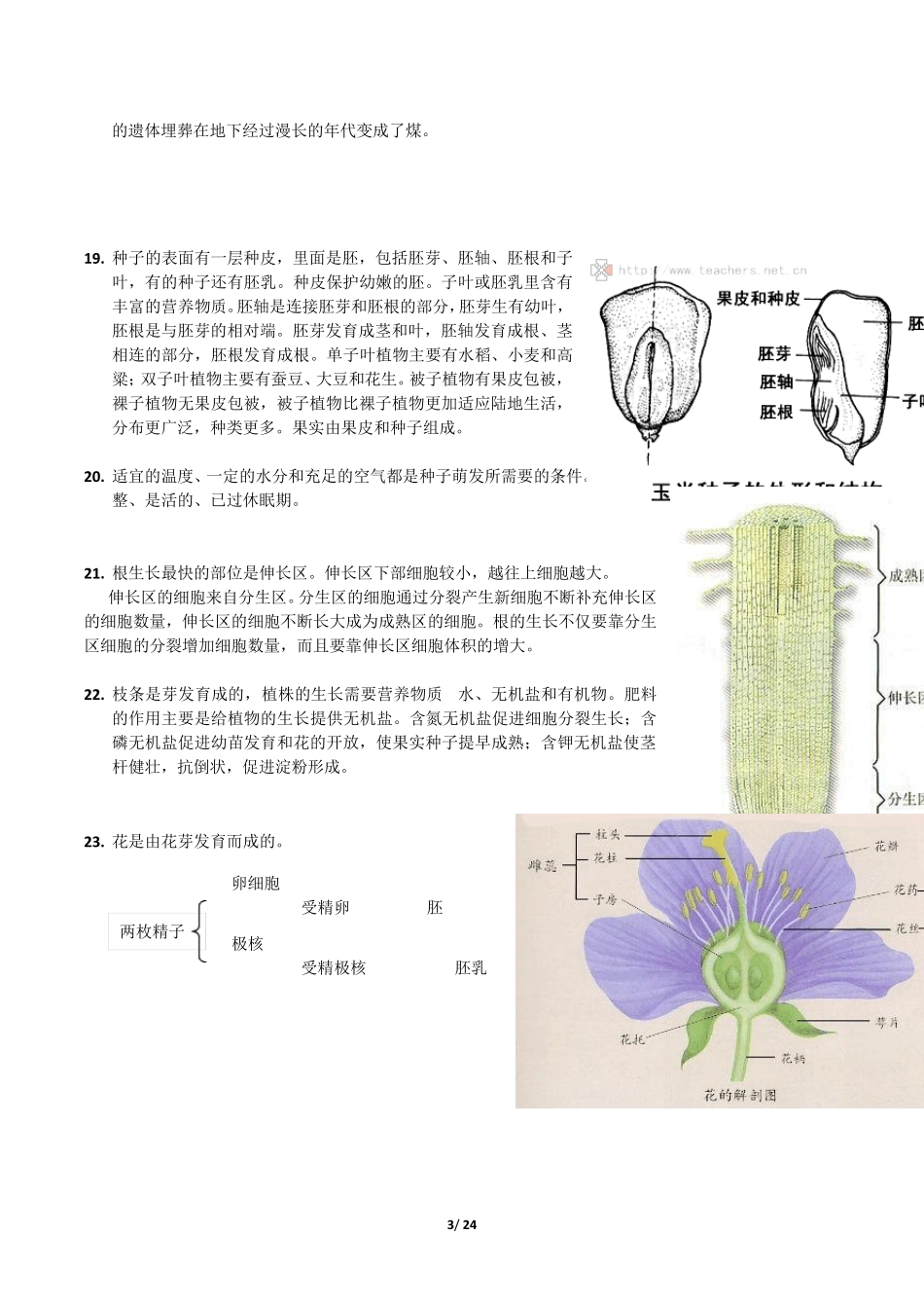 深圳生地会考生物考点总结_第3页