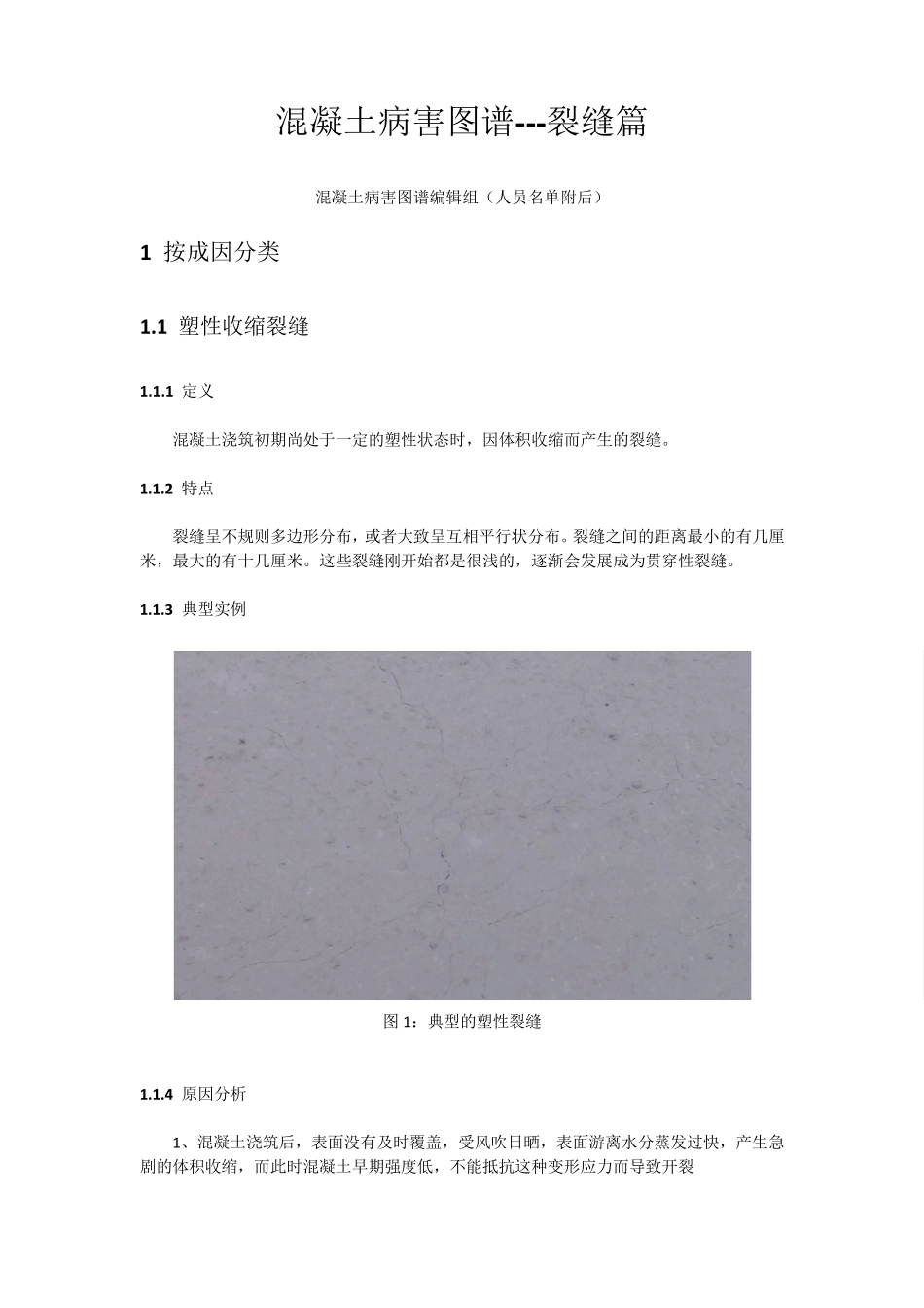 混凝土病害图谱裂缝篇_第1页