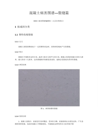 混凝土病害图谱裂缝篇