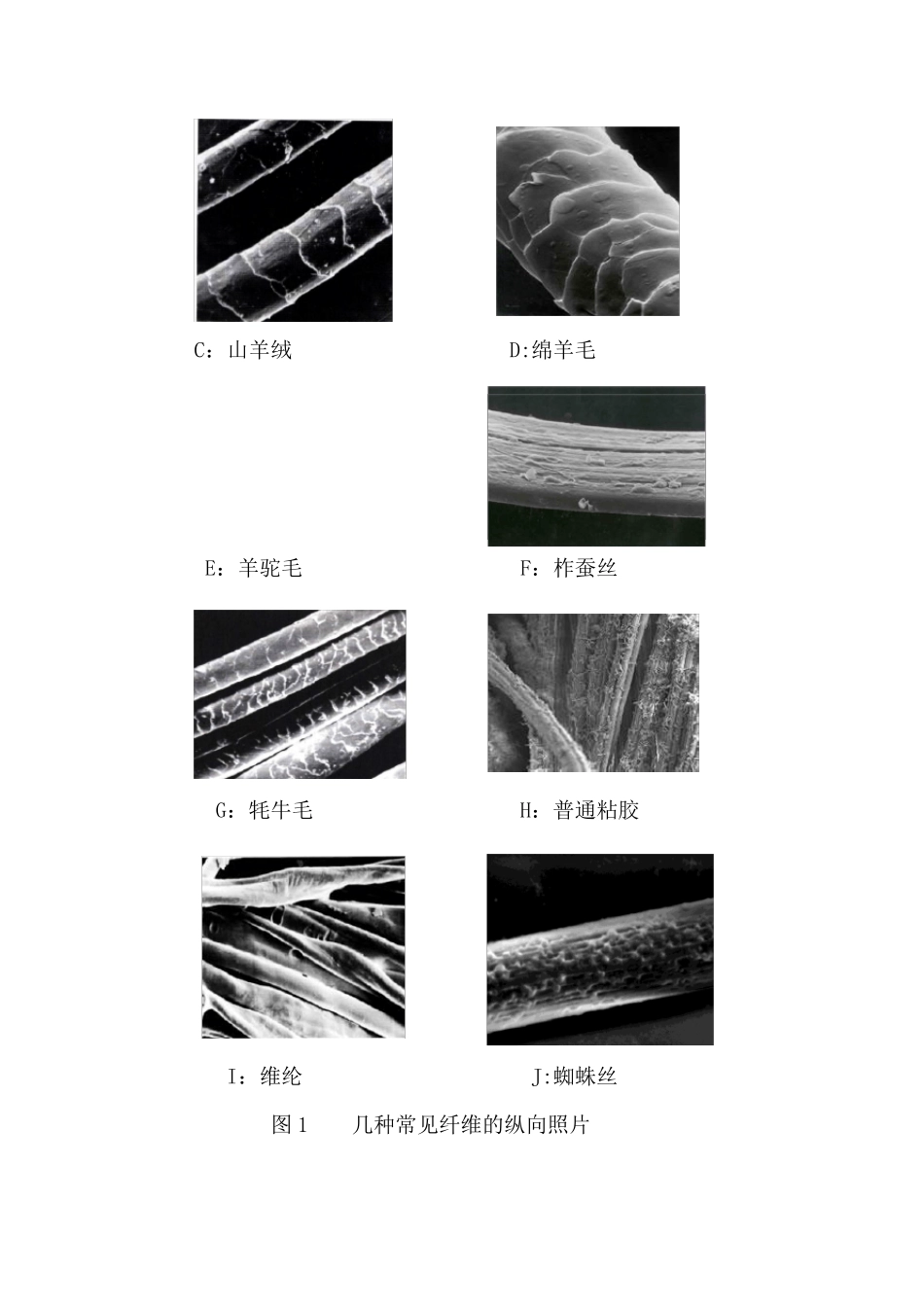 混纺织物中纤维成分的定性和定量分析_第2页