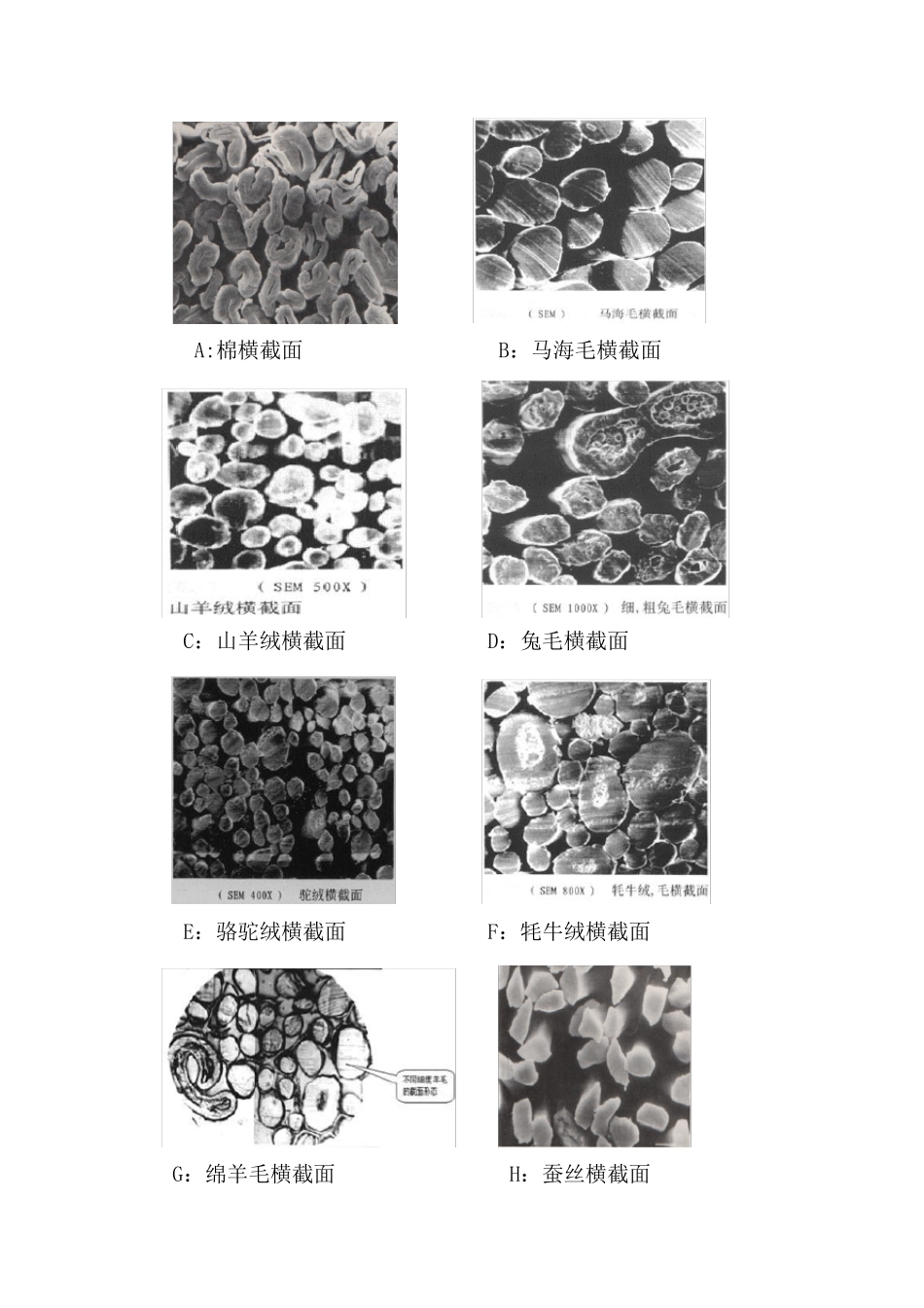 混纺织物中纤维成分的定性和定量分析_第3页