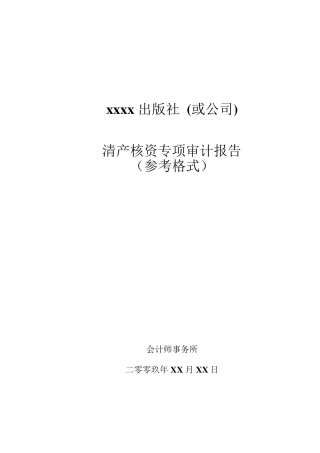 清产核资专项审计报告