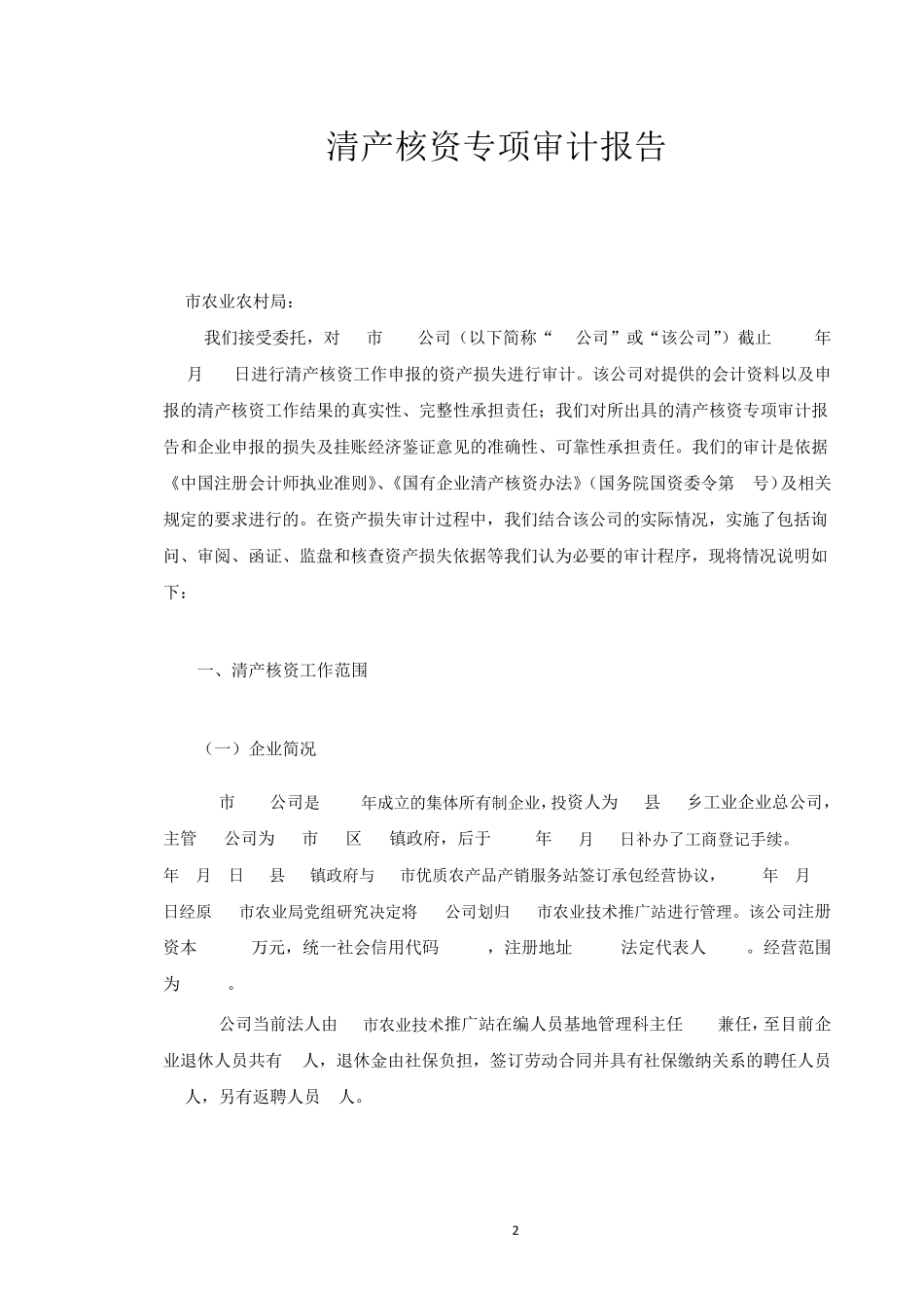 清产核资审计报告_第3页