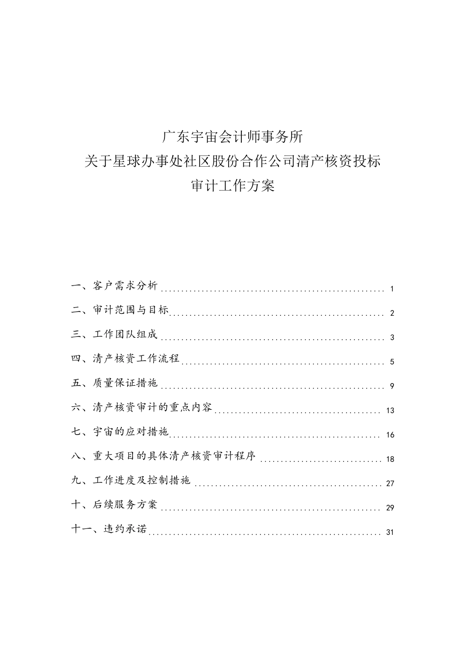 清产核资投标用审计工作方案_第1页