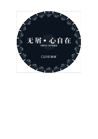 清扬洗发水广告策划书