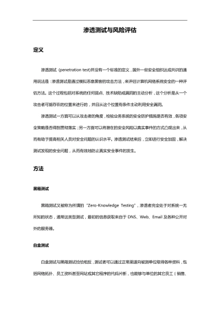 渗透测试与风险评估