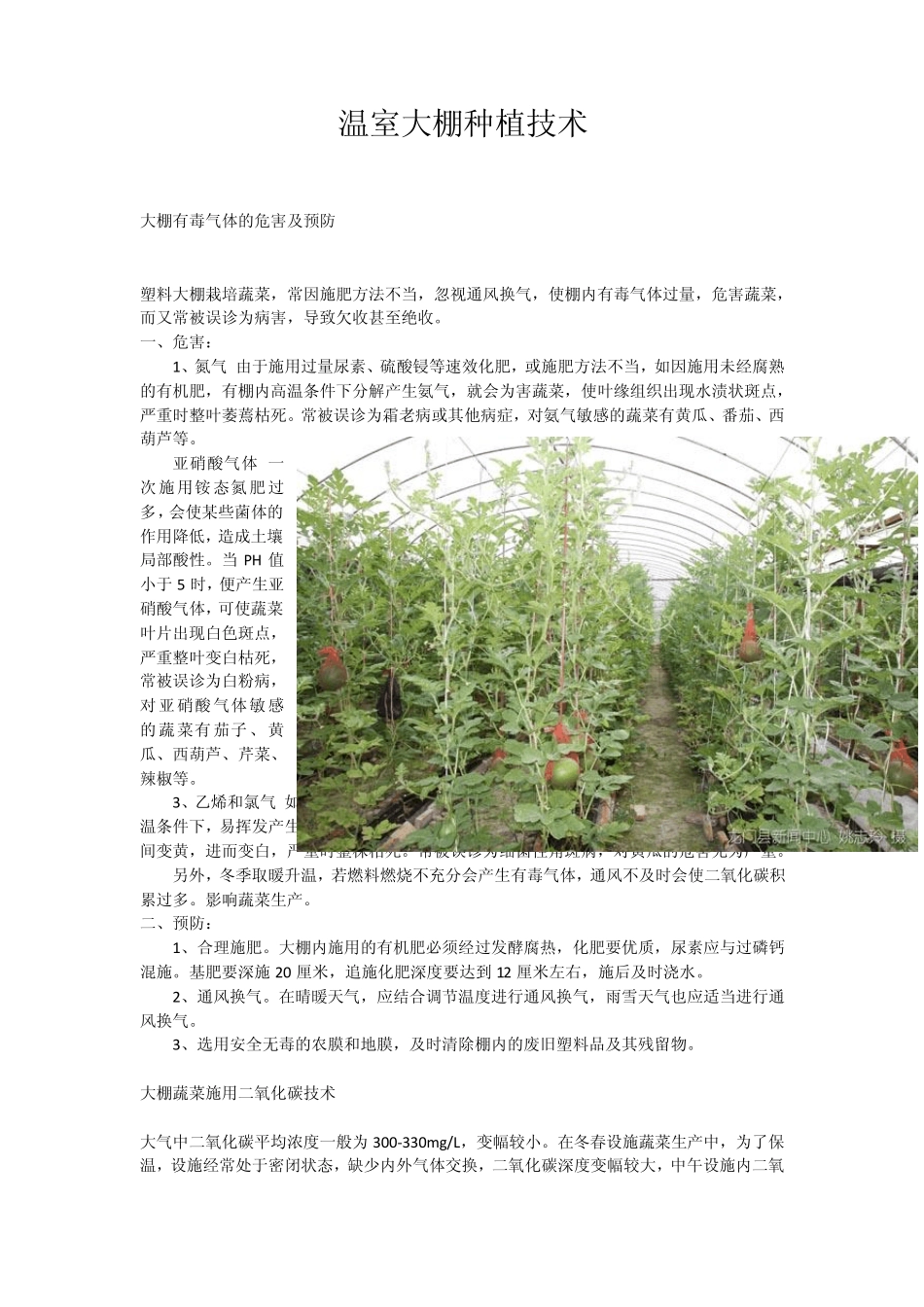 温室大棚种植技术_第1页