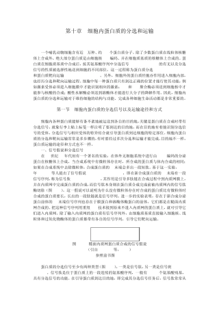 第十章细胞内蛋白质的分选和运输