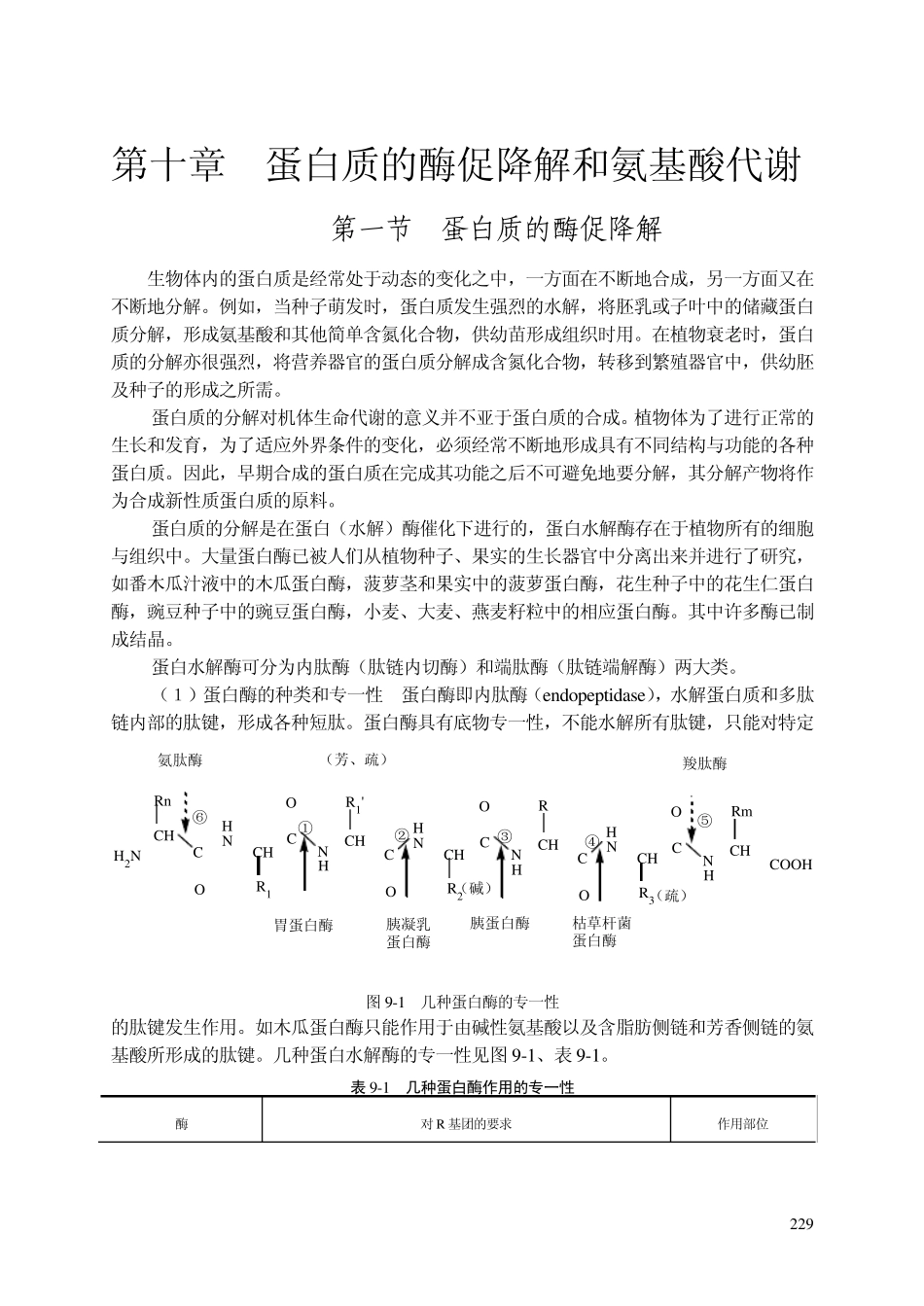 第十章蛋白质的酶促降解和氨基酸代谢_第1页