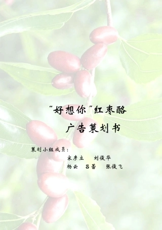 第四届全国大学生广告艺术大赛获奖作品——好想你红枣酪广告策划案